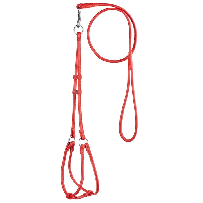 Red leather dog harness and dog leash set with metal hardware