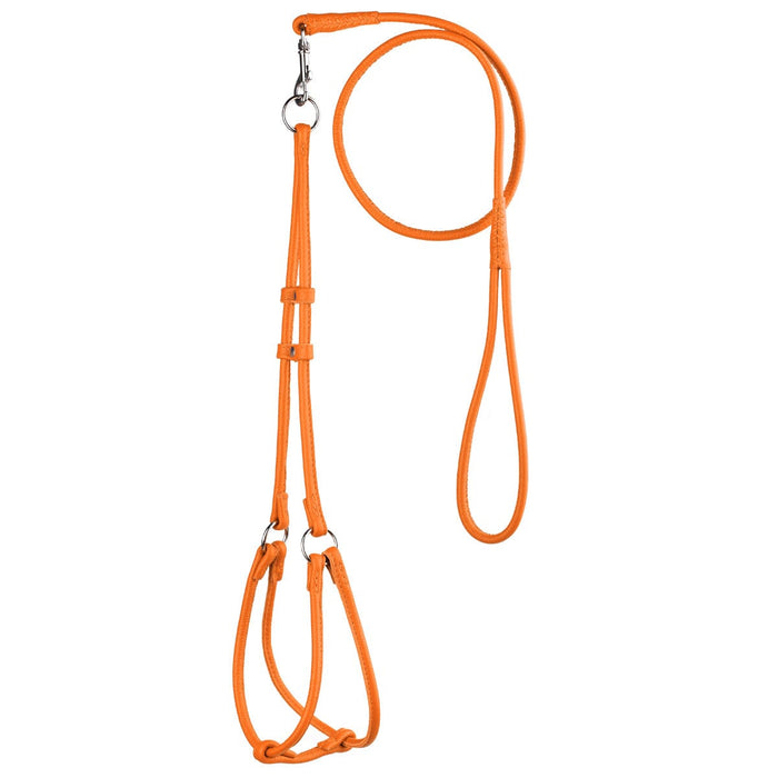 Orange leather dog harness and dog leash set with metal hardware