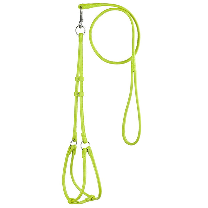 Lime green leather dog harness and dog leash set with metal hardware