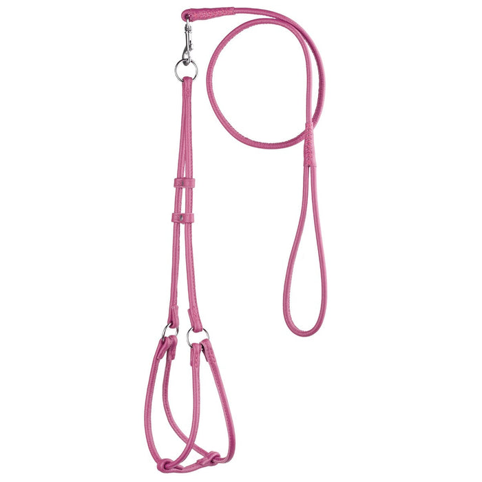 Pink leather dog harness and dog leash set with metal hardware