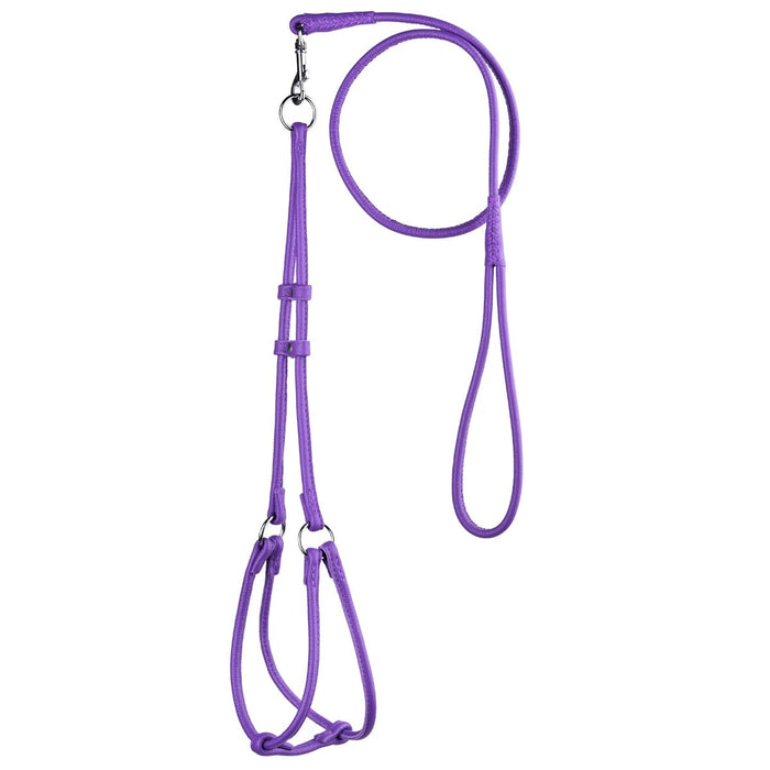Purple leather dog harness and dog leash set with metal hardware