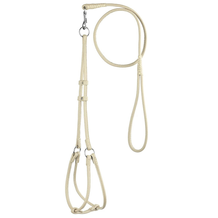 Soft Leather Round Step-In Harness + Round Lead
