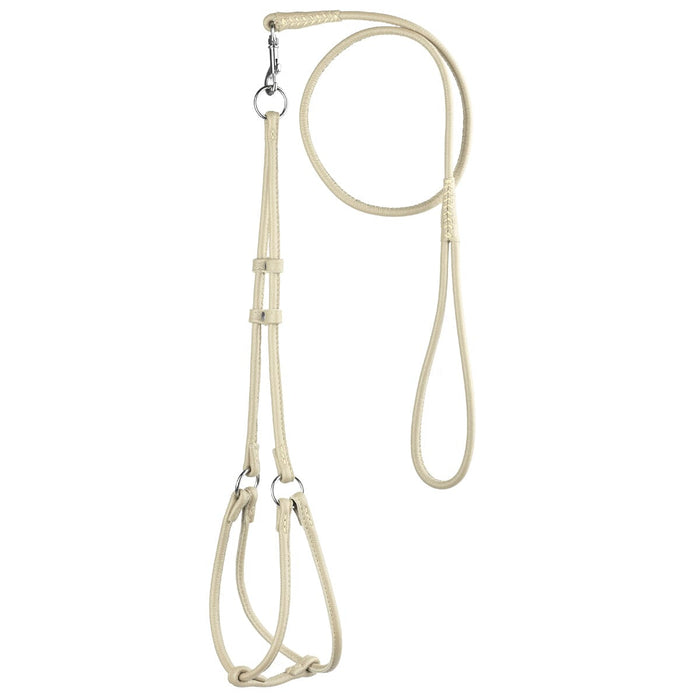 Beige leather dog harness and dog leash set with metal hardware