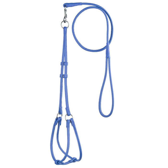 Blue leather dog harness and dog leash set with metal hardware