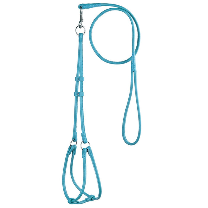 Teal leather dog harness and dog leash set with metal hardware