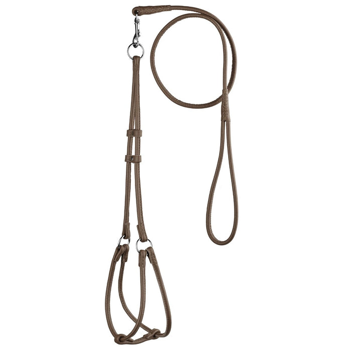 Dark brown leather dog harness and dog leash set with metal hardware