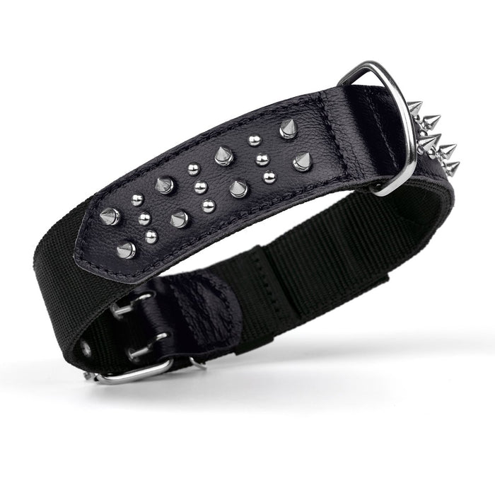 Black leather and nylon dog collar with studs and spikes, metal buckle and D-ring