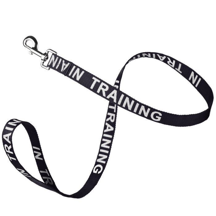 In Training black nylon dog leash with reflective lettering text