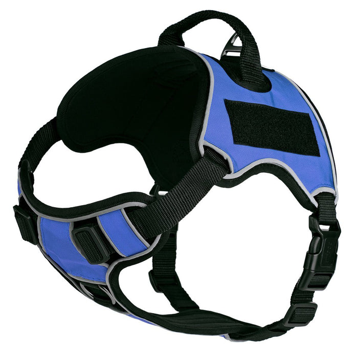 Blue dog harness with top handle and loop backing for hook and loop patches, adjustable, made from Neoprene