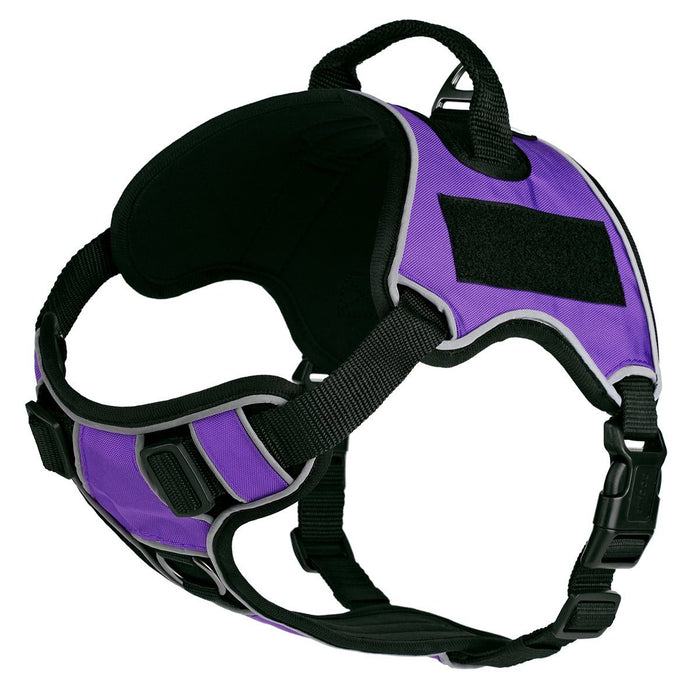 Purple dog harness with top handle and loop backing for hook and loop patches, adjustable, made from Neoprene