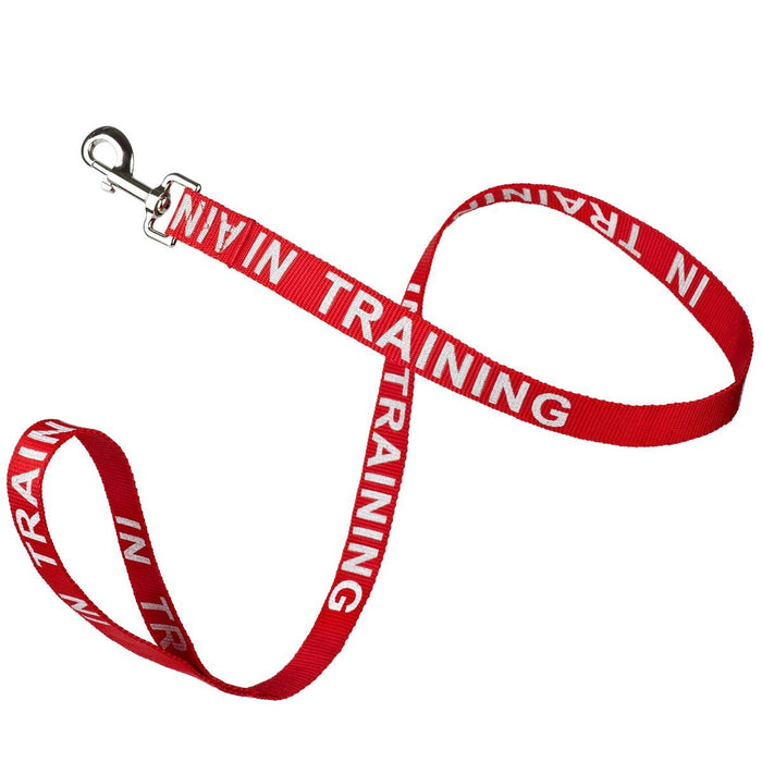 In Training red nylon dog leash with reflective lettering text