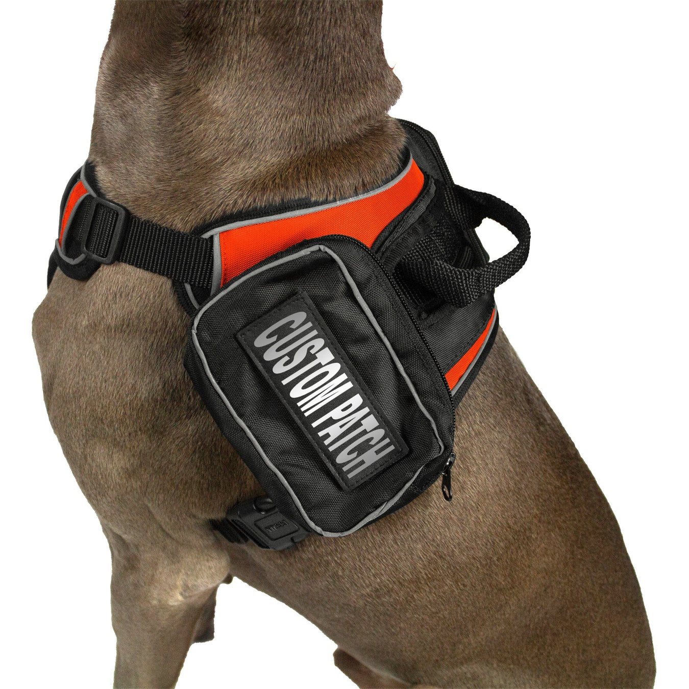 Personalized Dog Products