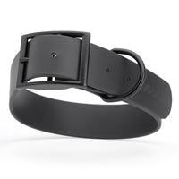 Black Dog Collars