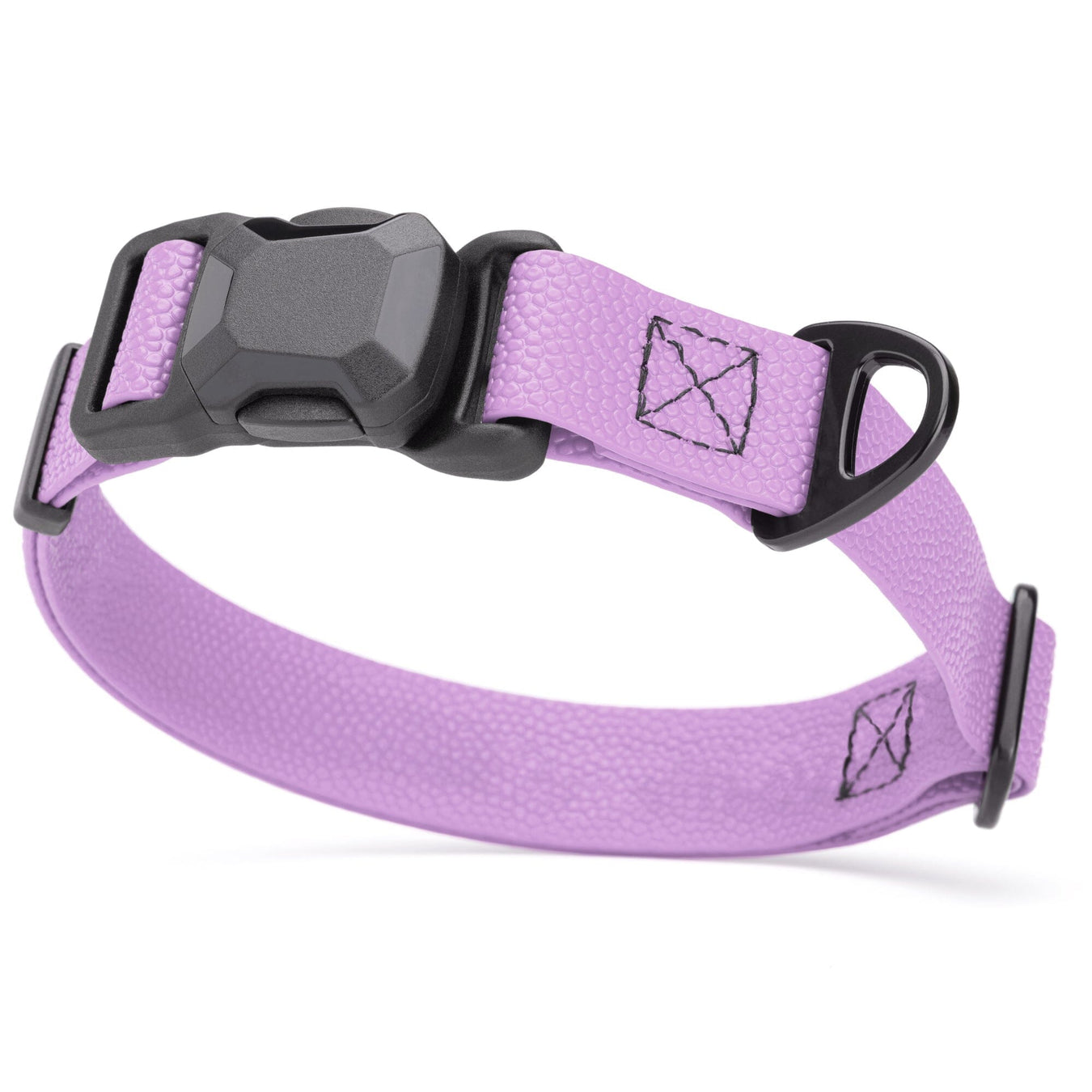 Purple Dog Collars