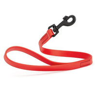 Small Dog Leashes