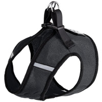 Black Dog Harnesses