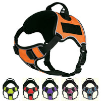 No-Pull Dog Harnesses
