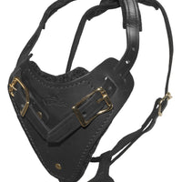 Brown Dog Harnesses