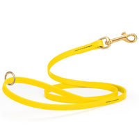 Yellow Dog Leashes