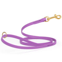 Purple Dog Leashes
