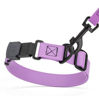 BioThane Dog Collars