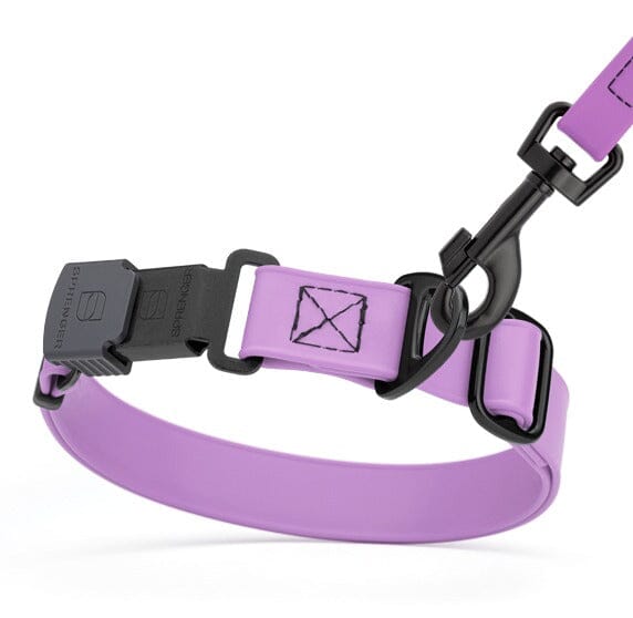 BioThane Dog Collars