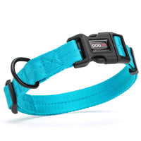 Nylon Dog Collars