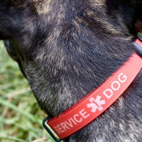 Service Dog Products