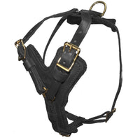 Leather dog harness with a padded chest plate and brass hardware