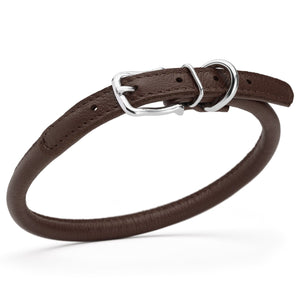 Dark brown leather dog collar with metal hardware, 3/8 inches wide