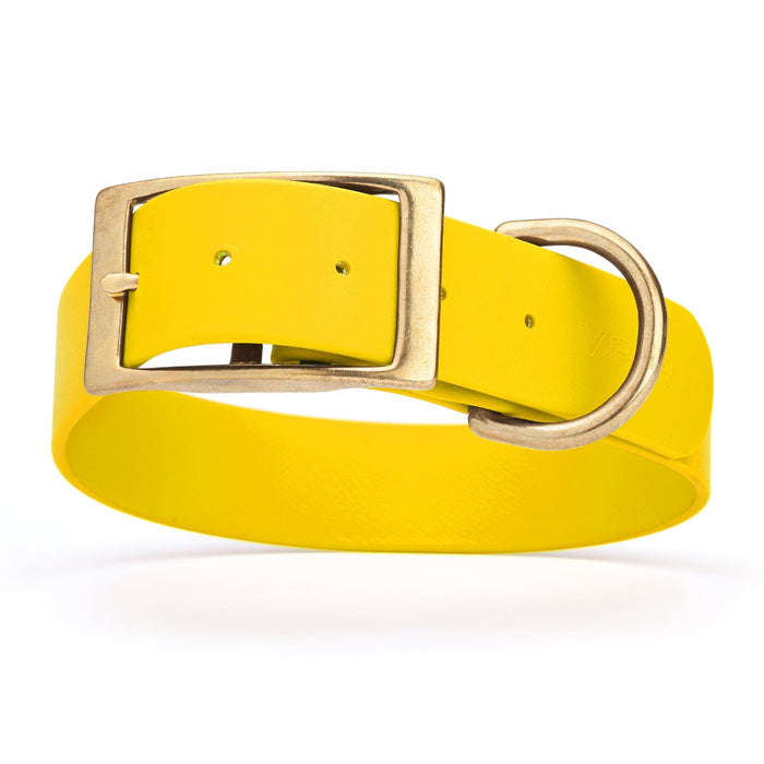 Lemon Yellow dog collar with brass buckle and D-ring, made from waterproof Biothane, 1.5-inch wide, fits large and giant dogs