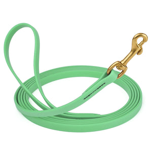 15 ft Seafoam Green dog leash with brass clip, made from waterproof Biothane, width 1/2 inch