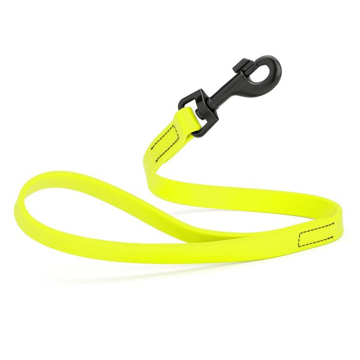 Biothane Waterproof Leash 2 ft