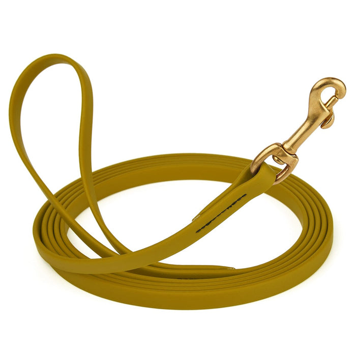 Treasure Gold Biothane dog leash with brass swivel snap hook, 1/2 inch wide, 33 feet long