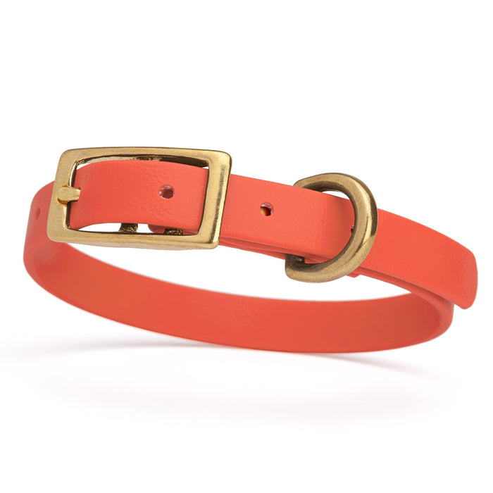 Viper Biothane Waterproof Dog Collar - Brass Hardware - Size XS (9" - 12")