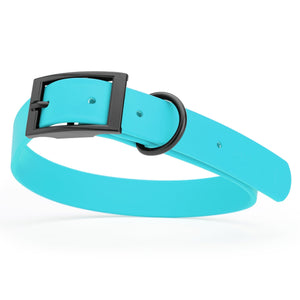 Sky blue dog collar with black buckle, made from waterproof biothane, 22 to 25 inches long