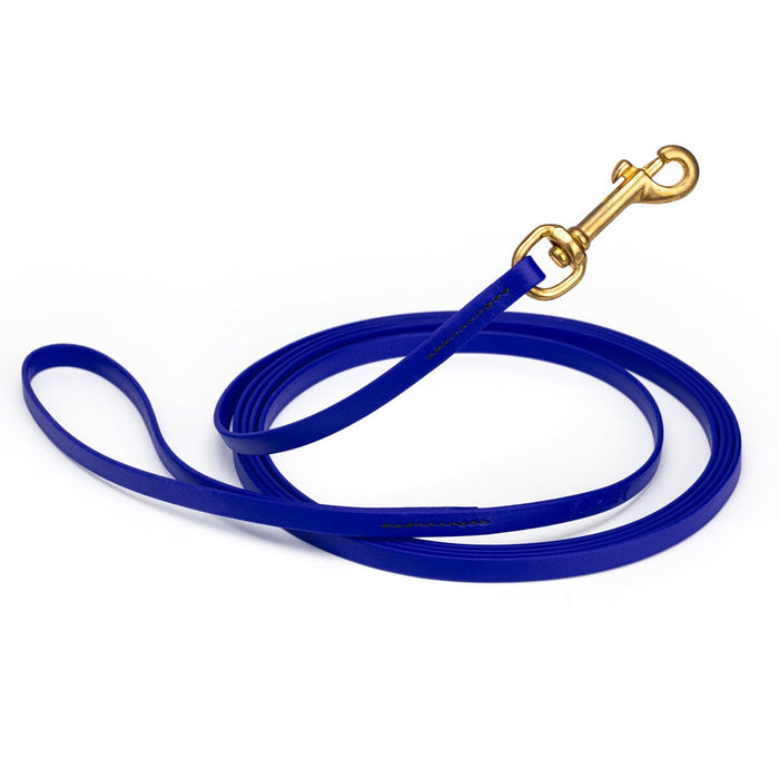 Waterproof Blueberry dog leash, 20 ft long, 3/8 in wide, made from Biothane with brass hardware