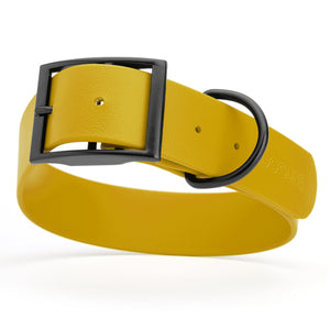 Treasure Gold waterproof collar for large dogs, 1.5 inches wide, made from Biothane, with black metal hardware