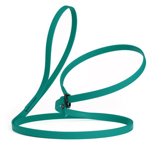 Aqua blue slip lead for dogs, made from waterproof Biothane, 1/2 inches wide