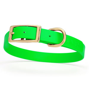 Biothane dog collar with brass buckle and D-ring, waterproof, fits medium dogs, width 3/4 inch, Tropical Green 