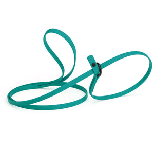 Aqua blue slip lead for dogs, made from waterproof Biothane, 3/8 inches wide