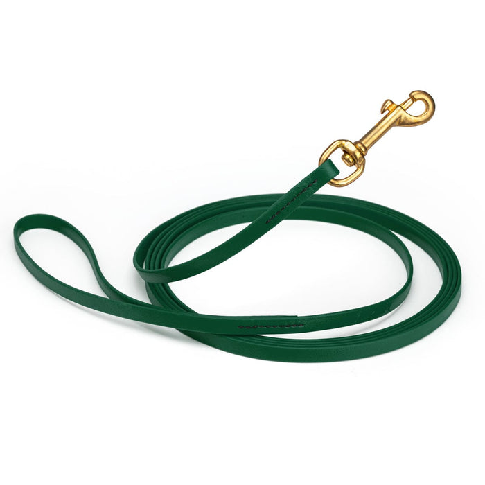 Hunter Green Biothane dog leash with brass snap hook, waterproof, 3/8in wide, 10ft long