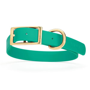 Teal dog collar with brass buckle and D-ring, made from waterproof Biothane, 1-inch wide, fits medium and large dogs