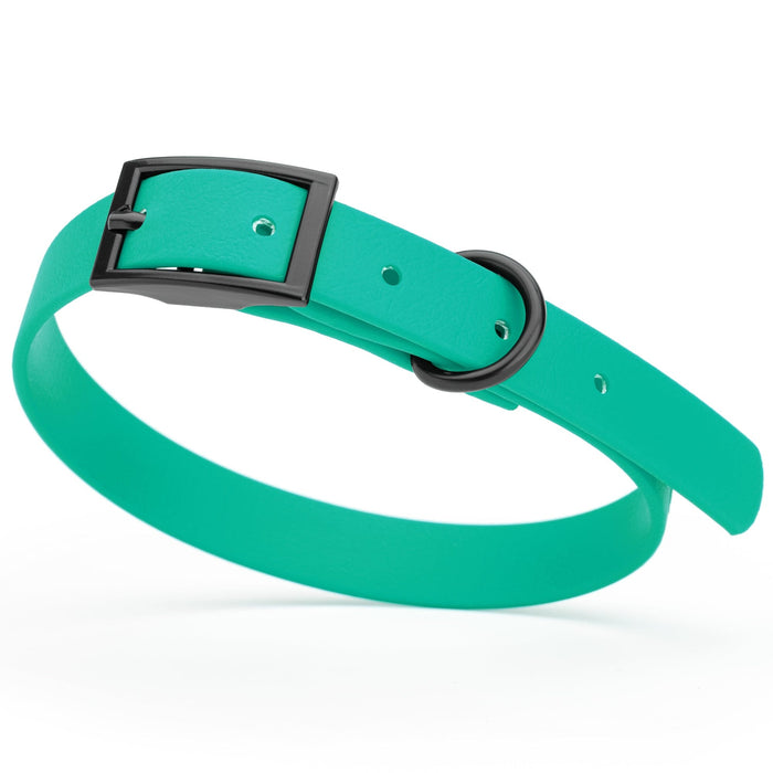 Teal Biothane dog collar with black metal buckle and D-ring, width 5/8 inches, fits small dogs 