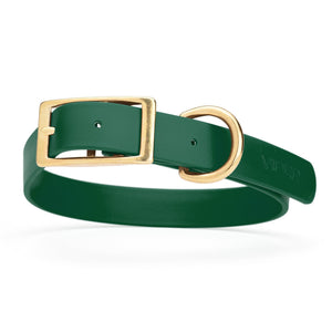 Hunter Green dog collar with brass buckle and D-ring, made from waterproof Biothane, 1-inch wide, fits medium and large dogs