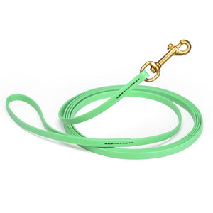 Seafoam Green Biothane dog leash with brass swivel snap hook, 3/8 inch wide, 33 feet long