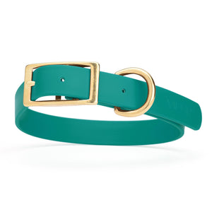 Aqua Blue dog collar with brass hardware, made from waterproof Biothane, 1-inch wide, fits large dogs