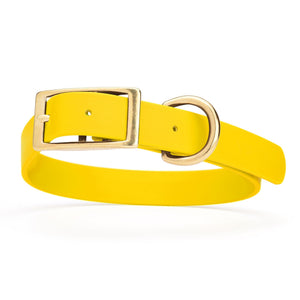 Lemon Yellow dog collar with brass hardware, made from waterproof Biothane, 1-inch wide, fits large dogs
