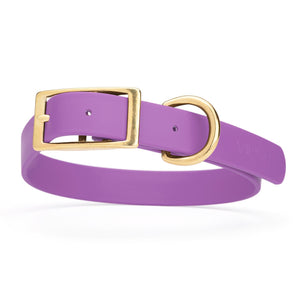 Amethyst Purple dog collar with brass hardware, made from waterproof Biothane, 1-inch wide, fits large dogs