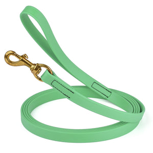 20 ft dog leash with brass snap hook, 3/4in wide, made from waterproof Biothane, Seafoam Green